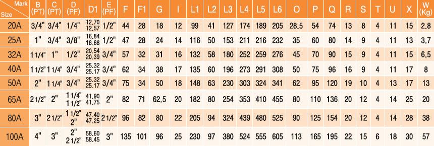 蒸汽及热媒介用复式，虹吸管固定型2